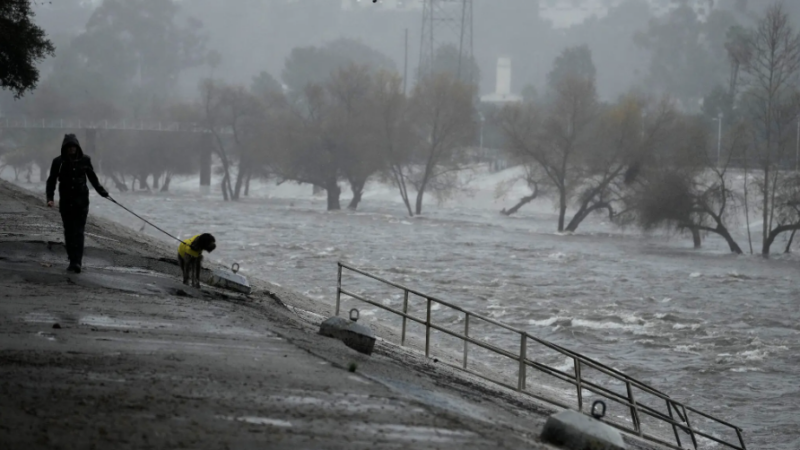 A man walking his dog on the edge of the Los Angeles River in the city on Sunday.Credit...Damian Dovarganes/Associated Press